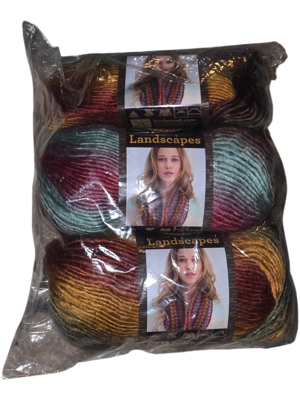 Lion Brand Landscapes Yarn Desert Spring 204 Lot of 3 Multicolor Acrylic 147 Yd